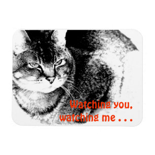 Flexible Fridge Magnet - vaktfull katt!