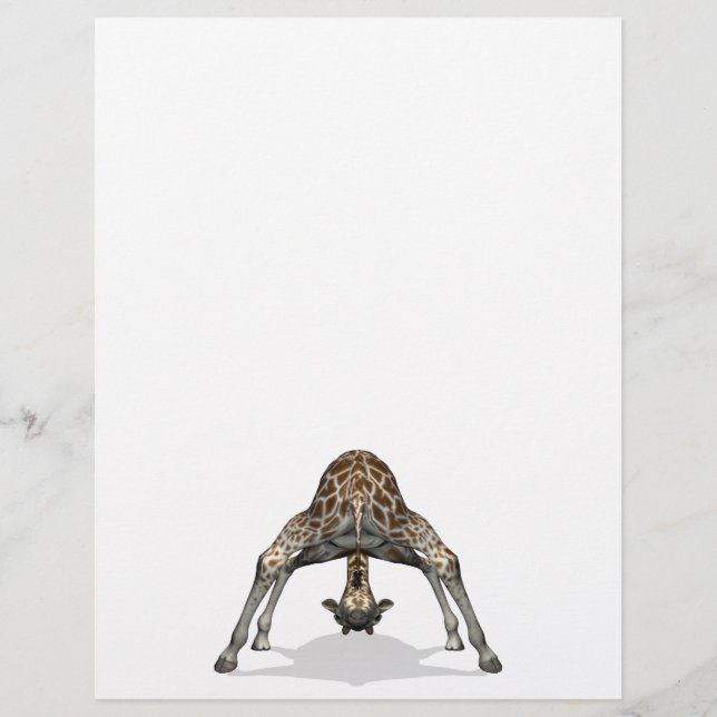 Flexible Giraffe (Framsida)