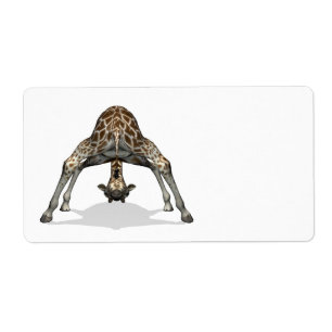 Flexible Giraffe Fraktsedel