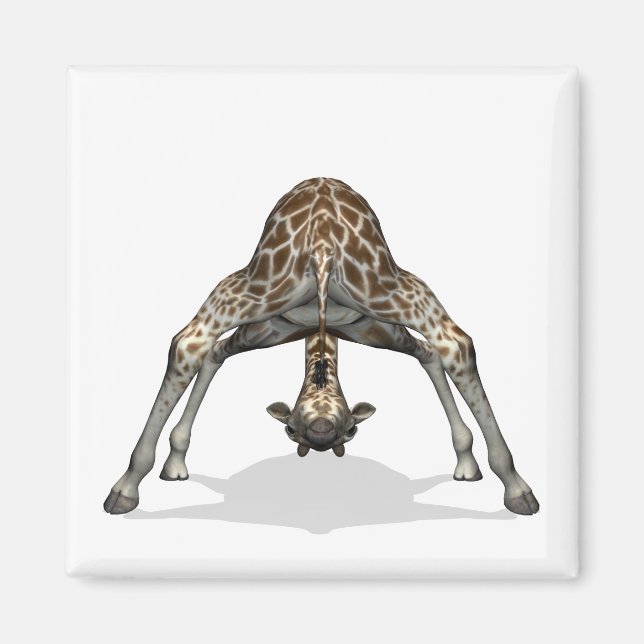 Flexible Giraffe Magnet (Framsidan)