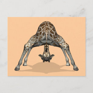 Flexible Giraffe Vykort