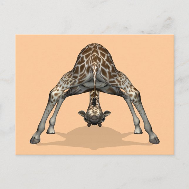 Flexible Giraffe Vykort (Framsida)
