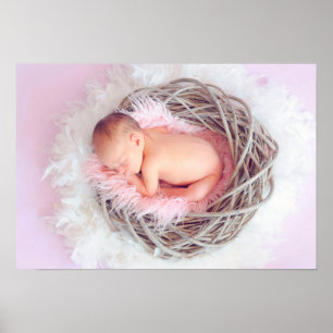 Flicka i hennes bo poster