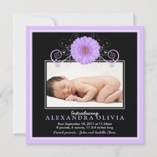 Flicka Lila Daisy Foto Birth Notice Meddelande