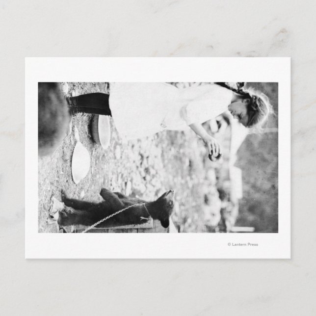 Flicka matar björnunge i Seward Vykort (Framsida)