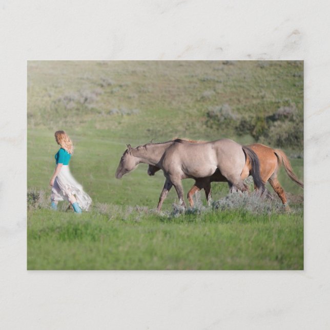 Flicka med hästar vykort (Framsida)