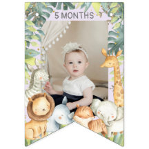 Flicka med knöldjungeldjur 1:a födelsedagelagare