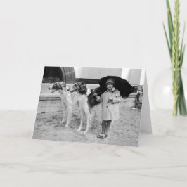 Flicka- och Borzoikort Kort