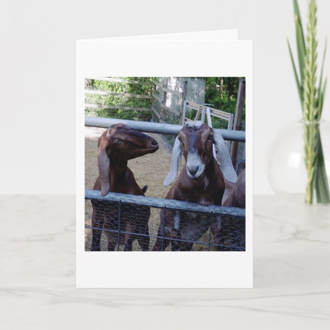 Flickasamtal Kort (Framsida)