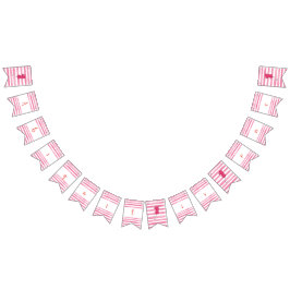 Flickballon - första födelsedagsbannern vimplar