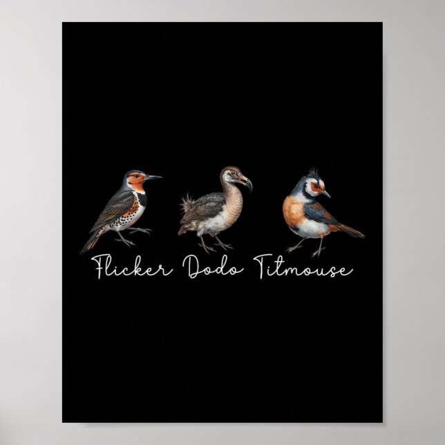 Flicker Dodo Titmus Funny Bird Clever Birdwatche Poster (Framsidan)
