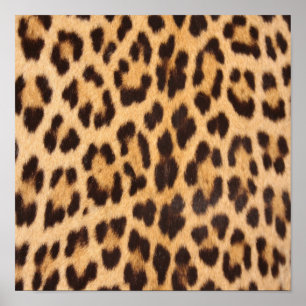 flickigt chic vild safari mode leopardmönster poster