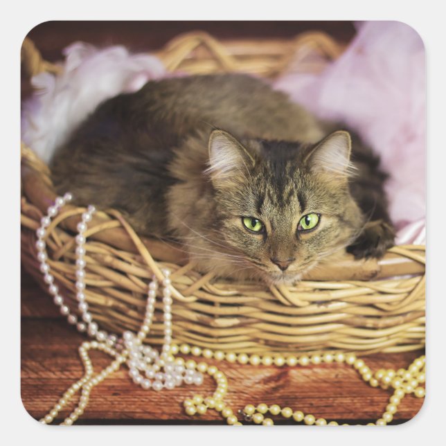 Flickklistermärken i party fyrkantigt klistermärke (Framsida)