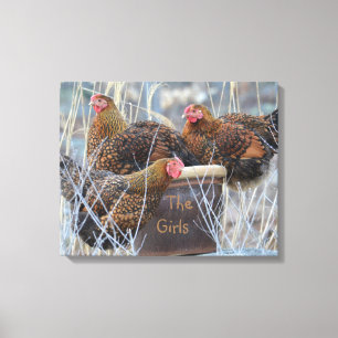 "Flickor"-kycklingen Wrapped Canvas