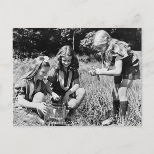 Flickor som samlar grodor, 1940-talet vykort