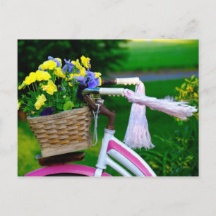 Flickor vill bara ha Roligt, Rosa Girls-cykel Vykort