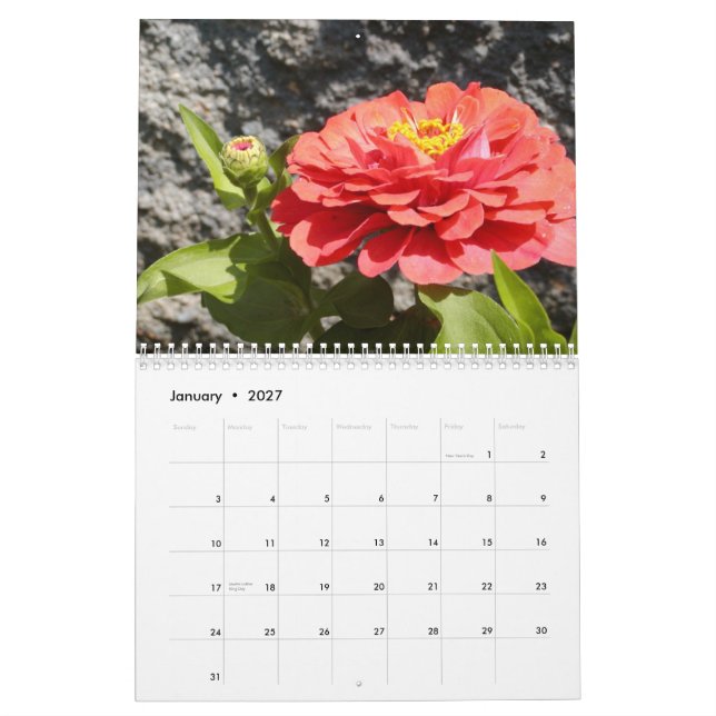 flickorna och trädgården, Vol. 4 Kalender (Jan 2027)