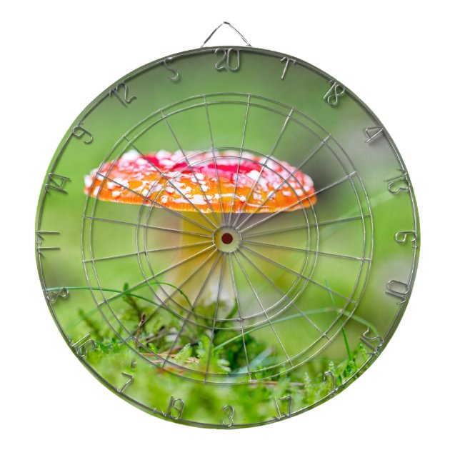 Fliegenpilz Darttavla (Framsidan)