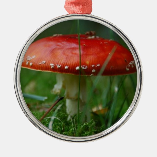 Fliegenpilz Julgransprydnad Metall (Framsidan)
