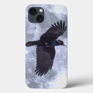 Flies Black Raven Gothic, Celtic, Wildlife