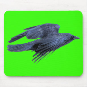 Flies Black Raven Gothic, Celtic, Wildlife Musmatta