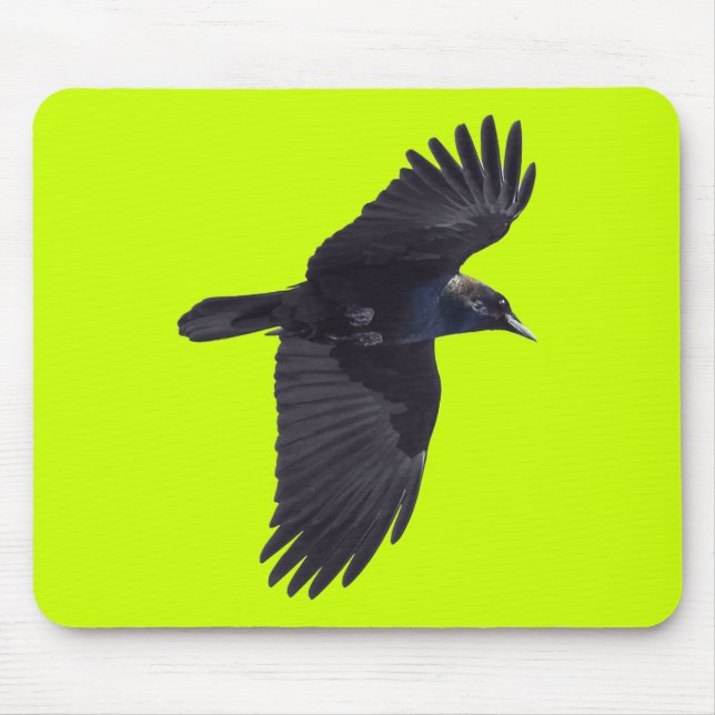 Flies Black Raven Gothic, Haida, Wildlife Musmatta (Framsidan)