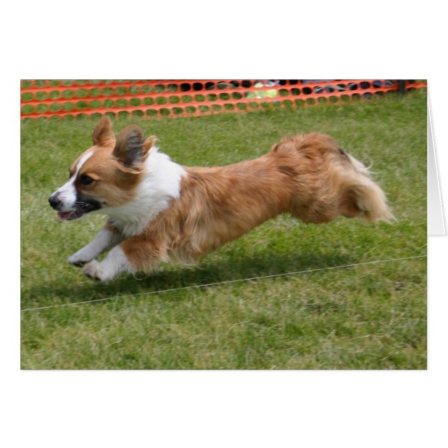 Flies Cardigan Welsh Corgi Hälsningskort (Framsidan Horizontal)