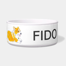 Flies Corgis Hund Bowl