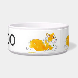Flies Corgis Hund Bowl