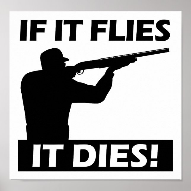 Flies Dies Funny Poster (Framsidan)