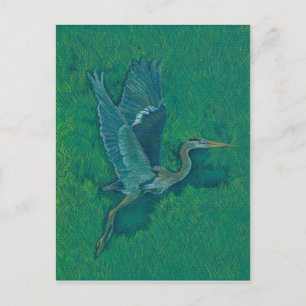 Flies Heron Vykort