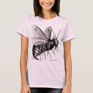 Flies-herre - kvinnans t tee