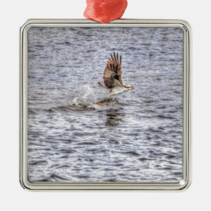 Flies Osprey & Fish HDR Wildlife Photo Gift Julgransprydnad Metall