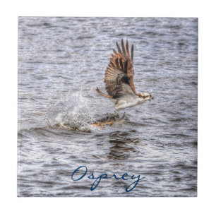 Flies Osprey & Fish HDR Wildlife Photo Gift Kakelplatta