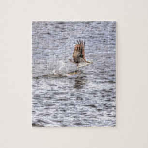 Flies Osprey & Fish HDR Wildlife Photo Gift Pussel