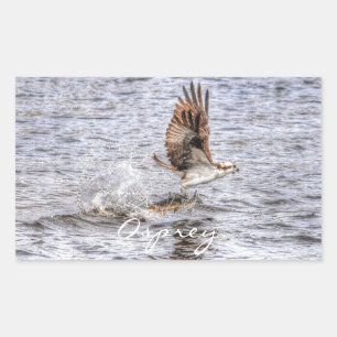 Flies Osprey & Fish HDR Wildlife Photo Gift Rektangulärt Klistermärke