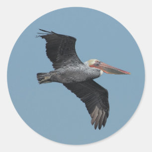 Flies Pelican 14 Sticker Runt Klistermärke