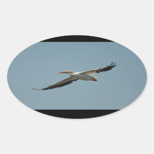 Flies Pelican 4 Sticker Ovalt Klistermärke