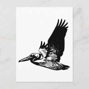 Flies Pelican Vykort
