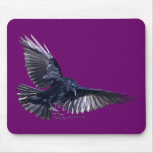 Flies Raven Musmatta