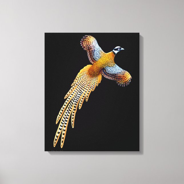 Flies Reeves Pheasant Wrapped Canvas (Framsida)