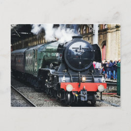 Flies Scotsman Postcard Vykort