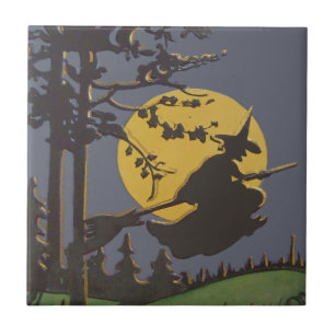 Flies Witch Silhouette Full Moon Kakelplatta