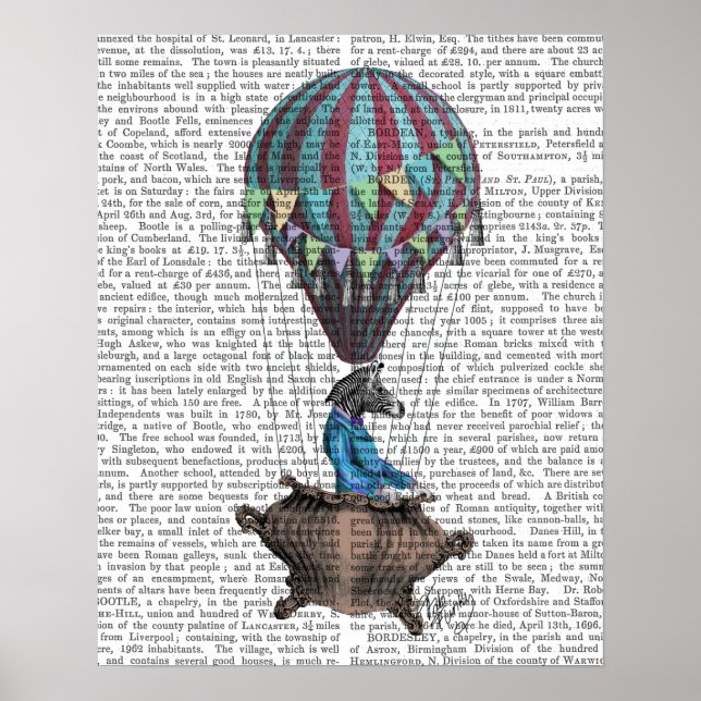 Flies Zebra Poster (Framsidan)