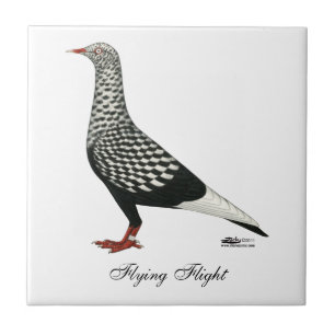 Flighten Teager Pigeon Kakelplatta
