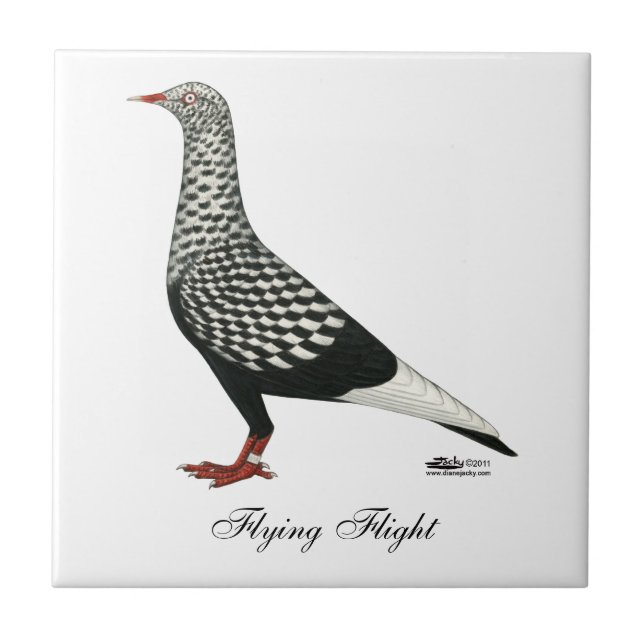 Flighten Teager Pigeon Kakelplatta (Framsidan)