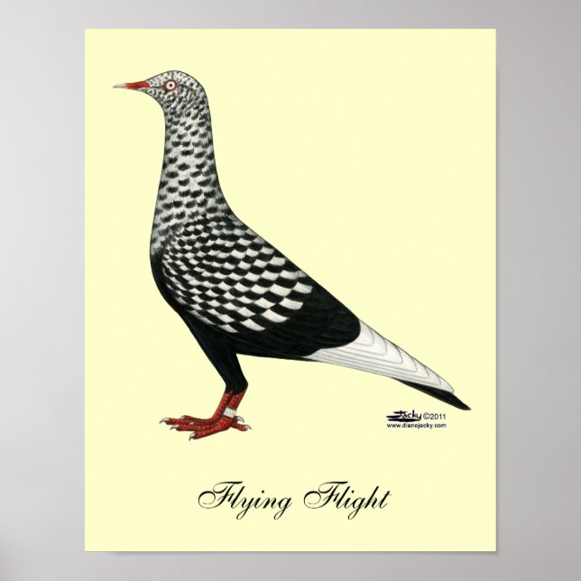 Flighten Teager Pigeon Poster (Framsidan)