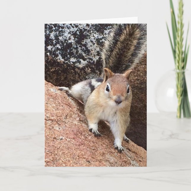 Flikekorreanteckningskort<Blank Inside> Inbjudan (Framsida)