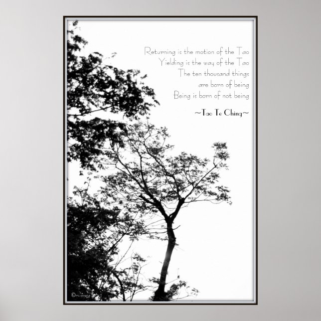 Fliken Ching/Sunset Träd B&W-foto Poster (Framsidan)