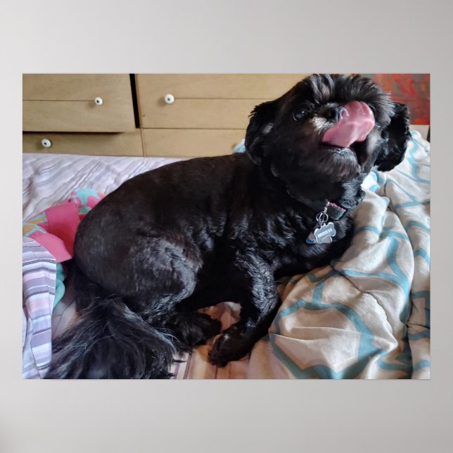 Flimmer vid Tunga Poster (Framsidan)